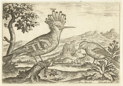 Twee vogels in een landschap door Adriaen Collaert