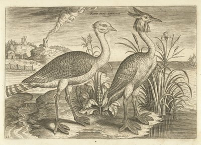 Twee waadvogels in een landschap door Adriaen Collaert