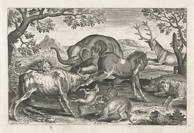 Vechtende dieren Vierpotige dieren (serie titel) Animalivm Qvaddrvpedvm (serie titel) door Adriaen Collaert