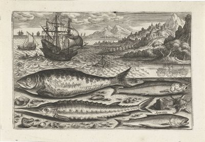 Vier vissen op het strand door Adriaen Collaert