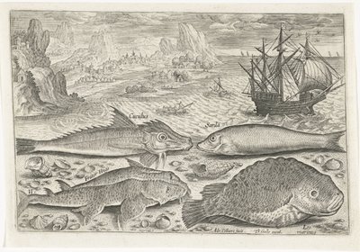 Vier vissen op het strand door Adriaen Collaert