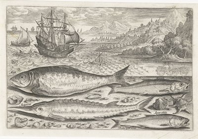 Vier vissen op het strand door Adriaen Collaert