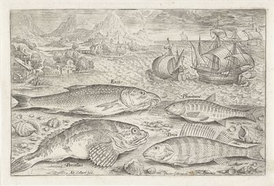 Vier vissen op het strand door Adriaen Collaert