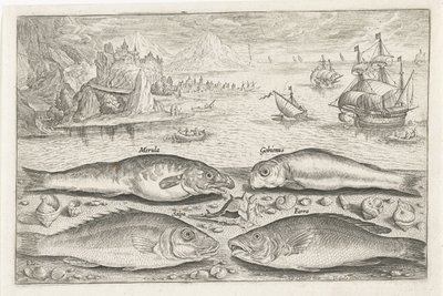Vier vissen op het strand door Adriaen Collaert