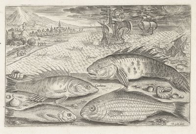 Vier vissen op het strand door Adriaen Collaert