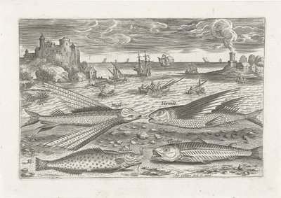 Vier vissen op het strand door Adriaen Collaert