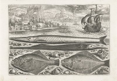 Vier vissen op het strand door Adriaen Collaert