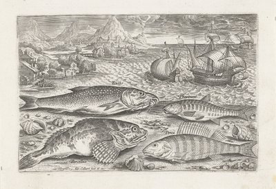 Vier vissen op het strand door Adriaen Collaert