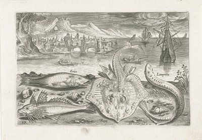 Vier vissen op het strand door Adriaen Collaert