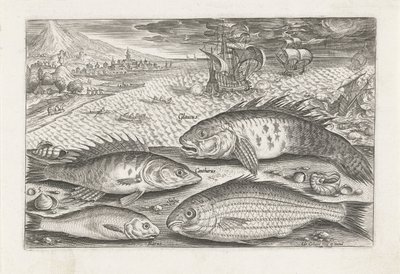 Vier vissen op het strand door Adriaen Collaert