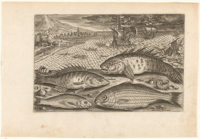 Vier vissen op het strand Vissen (serie titel) Piscivm vivae icones (serie titel) door Adriaen Collaert