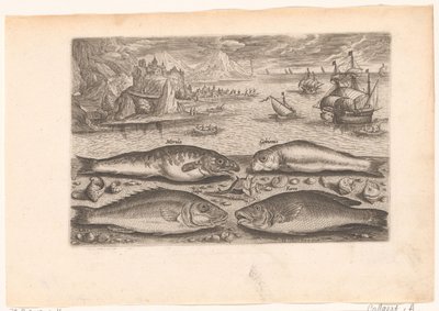 Vier vissen op het strand door Adriaen Collaert