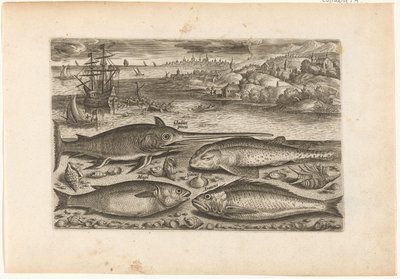 Vier vissen op het strand door Adriaen Collaert
