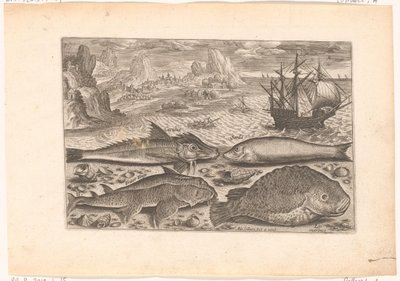 Vier vissen op het strand door Adriaen Collaert