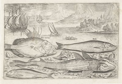 Vier vissen op het strand door Adriaen Collaert