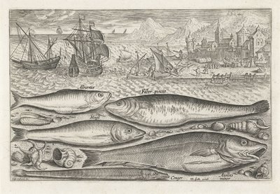 Vijf vissen op het strand door Adriaen Collaert