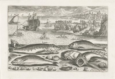 Vijf vissen op het strand door Adriaen Collaert