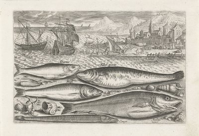Vijf vissen op het strand door Adriaen Collaert