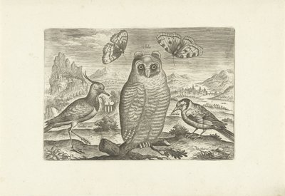 Vogels en vlinders in een landschap door Adriaen Collaert