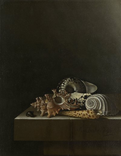 Schelpen op een stenen plint door Adrian Coorte