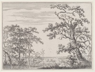 Landschap met een Stroom en een Oude Boom door Adriaen Hendricks Verboom