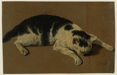 Kat liggend met de kop tussen de voorpoten door Adriaen van de Velde (attributed to)
