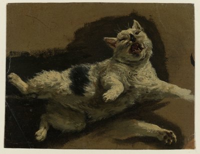 Kat liggend op de rug en los pootje door Adriaen van de Velde (attributed to)