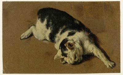 Kat liggend op de zij, de linkervoorpoot uitgestrekt door Adriaen van de Velde (attributed to)