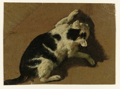 Kat spelend bij een muur door Adriaen van de Velde (attributed to)