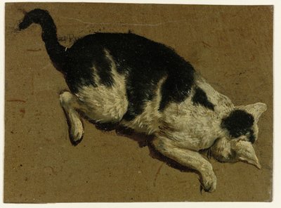 Kat vanaf een verhoging naar beneden kijkend door Adriaen van de Velde (attributed to)