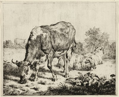 Een koe en drie schapen door Adriaen van de Velde
