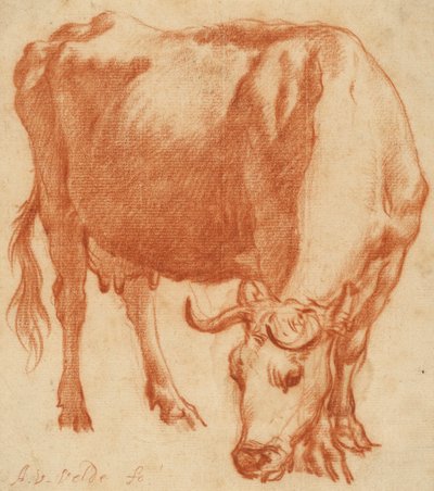 Een grazende koe, ca. 1663 door Adriaen van de Velde