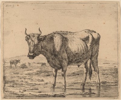 Stier staand in water door Adriaen van de Velde