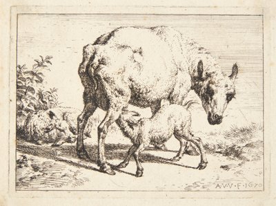 Schapen en twee lammeren door Adriaen van de Velde