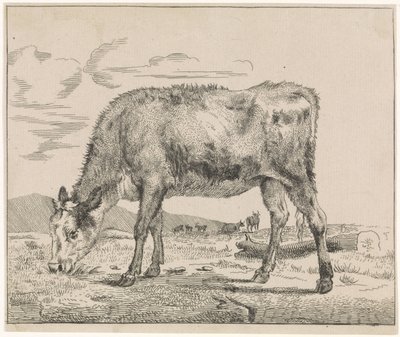 Grazend kalf door Adriaen van de Velde