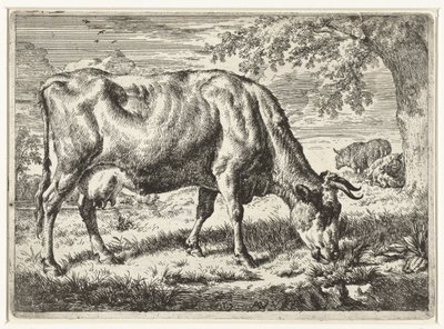 Grazende koe en twee schapen door Adriaen van de Velde