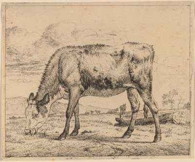 Grazend Kalf door Adriaen van de Velde