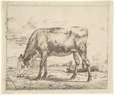 Grazend Kalf, uit Verschillende Dieren, 1658 door Adriaen van de Velde