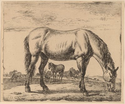 Grazend paard door Adriaen van de Velde