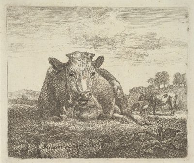 Liggende koe, uit Verschillende Dieren, 1657 door Adriaen van de Velde