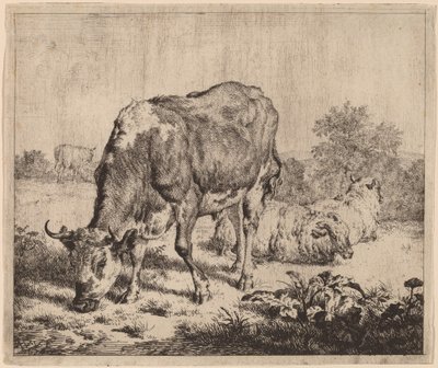 Gevlekte stier en drie schapen door Adriaen van de Velde