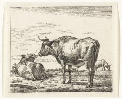 Staande stier door Adriaen van de Velde