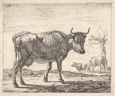 Drie Koeien door Adriaen van de Velde