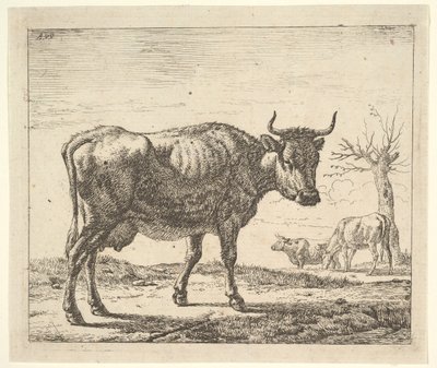 Drie Koeien, uit Verschillende Dieren door Adriaen van de Velde