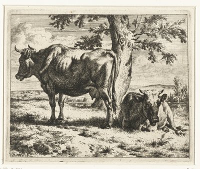 Twee koeien onder een boom door Adriaen van de Velde