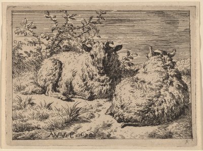 Twee liggende schapen door Adriaen van de Velde