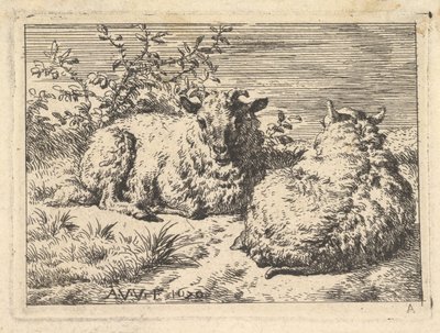 Twee Liggende Schapen, 1670 door Adriaen van de Velde