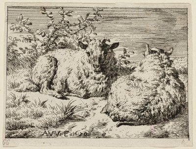 Twee schapen door Adriaen van de Velde