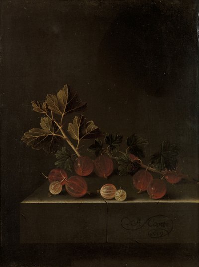Een Takje Kruisbessen op een Stenen Sokkel, 1699 door Adrian Coorte