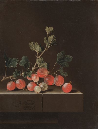 Kruisbessen op een tafel door Adrian Coorte